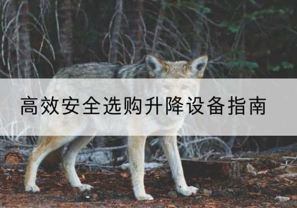 日土升降货梯厂家推荐-*安全选购升降设备指南