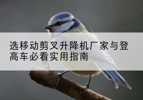 日土电动升降机厂家-选移动剪叉升降机厂家与登高车必看实用指南