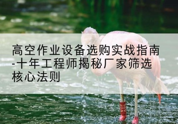日土剪叉式升降机厂家-高空作业设备选购实战指南-十年工程师揭秘厂家筛选核心法则