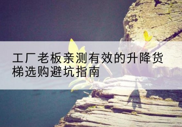 日土升降货梯怎么选-工厂老板亲测有效的升降货梯选购避坑指南
